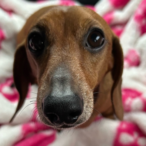 11/5 show
$10 minimum - Picture 3 of 6